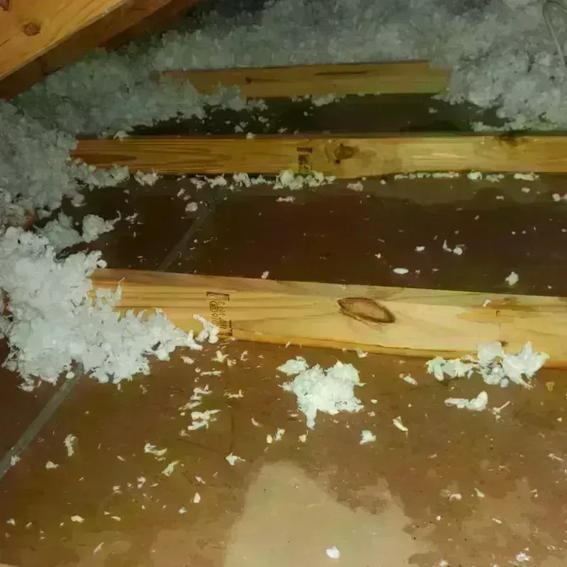 Attic Water Damage in Moundville, AL